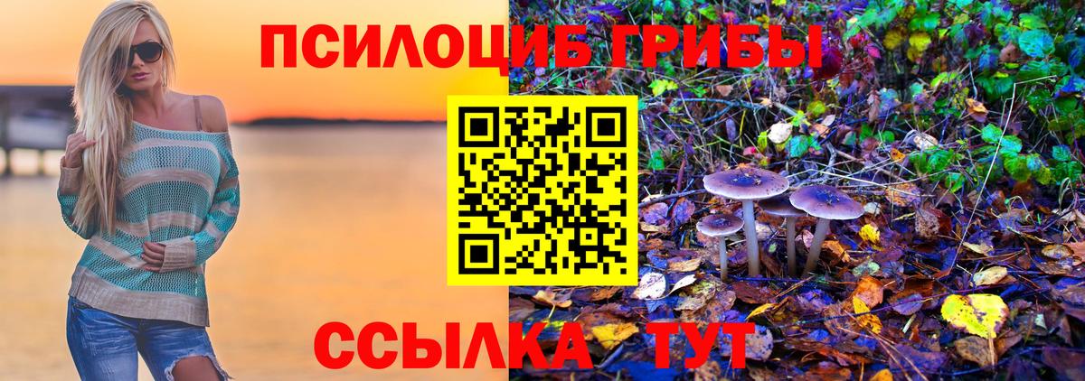 Галлюциногенные грибы мухоморы Красногорск