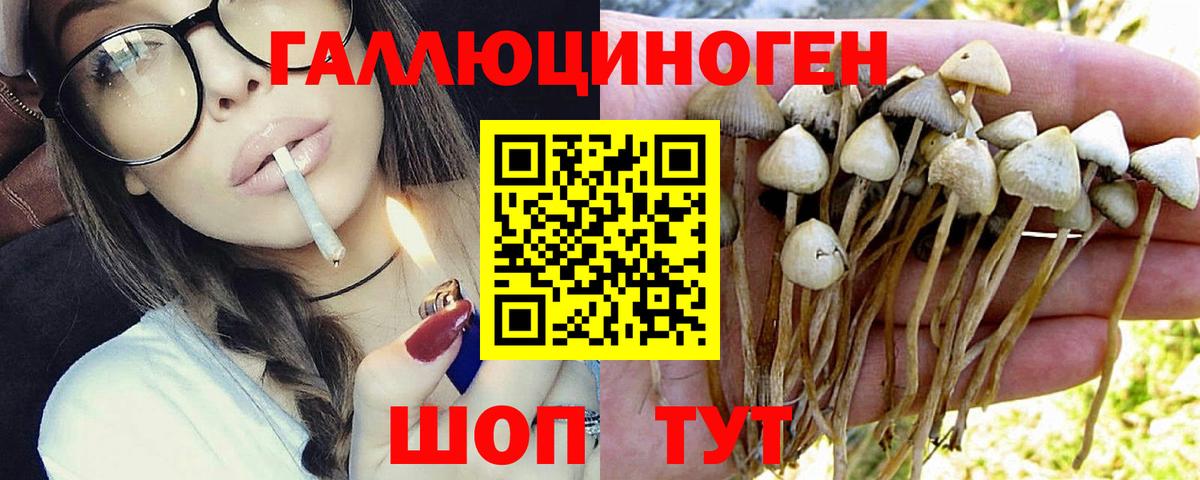 Галлюциногенные грибы Cubensis  даркнет сайт  Красногорск  Псилоцибиновые грибы Psilocybe  Вход с VPN 